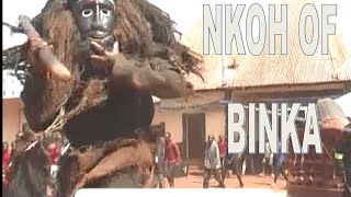 Nkoh, Mabuh, Ngiri of Binka at Bfubfu in Nkambe  #binka