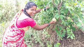 వర్షానికి మా పత్తి చేను వరి చేను ఎలా అయిందో చూడండి #agriculture #farmer  #youtube