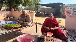 ਪੇਕੇ ਤਾਂ ਕੌੜੀ ਵੇਲ ਵਾਂਗ ਵੱਧਣ 😊|| village lifestyle of Punjab || by Dullat family vlogs ||