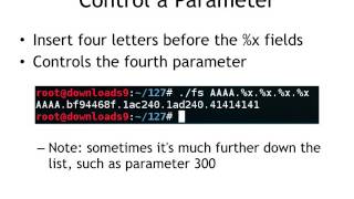 CNIT 127 Ch 4: Introduction to format string bugs