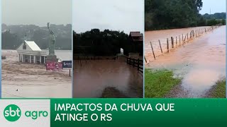 SBT Agro 06/05/24: Chuvas no Rio Grande do Sul causa prejuízo para o agronegócio
