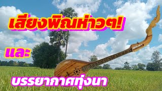 💢เสียงพิณม่วนๆกับบรรยากาศอยู่ไร่อยู่นา💥💥