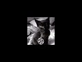 DJ Splash - Ring Dinge Ding [bass boosted & slowed]