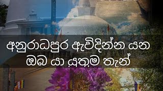 අනුරාධපුර යන ඔබ යා යුතුම තැන් කිහිපයක් |anuradhapura travel place |@Travel with rash