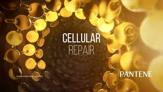 Cellular level repair with Pantene's Micro PRO-V