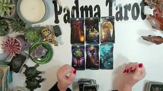 SAGITTARIUS ♐️ TIME IS RIGHT FOR THIS MOVE!NEW MOON IN CAPRICORN Tarot Reading 💫 🔮