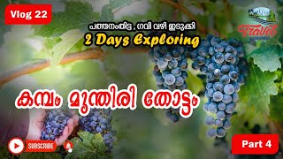 MSR മുന്തിരി തോട്ടം| GRAPES GARDEN | Cumbum | Shejeeb Edathala