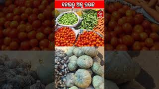 ବଜାରରେ ମିଳୁନି ଆଳୁ; ଚିନ୍ତାରେ ଲୋକେ #PotatoShortage #potato #odisha #trending  #niali #shortsviral