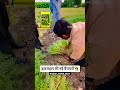 #song #kisan #desi #farmer #funny #music #love #newsong #bhojpuri #दफ्तरी