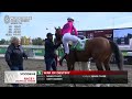 woodbine tbred november 3 2024 race 1 woodbine horse race replay