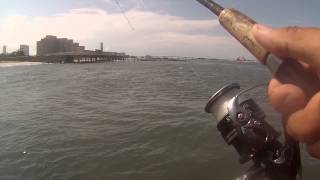 Fishing the Absecon Inlet Jetty for Black Sea Bass and Bergall (Atlantic City, NJ)