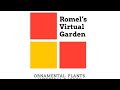 Affordable and readymade plants for vertical garden - romels virtual garden