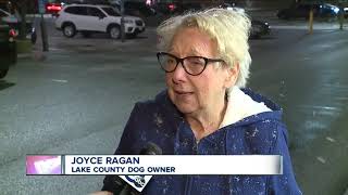 County auditors warn of fake dog license websites