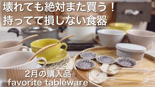 料理好き・器好きが紹介する2月の購入品|食器とキッチンアイテム13選【春カラー】