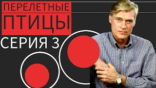 В НАПРЯЖЕНИИ ВЕСЬ ФИЛЬМ! СПАСАЕТ СЫНА ЛЮБОЙ ЦЕНОЙ! 𒆜Перелётные птицы 3 𒆜  RUSSIAN DRAMA