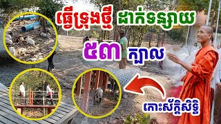 រៀបចំធ្វើទ្រុងថ្មីឲ្យសត្វទន្សាយចំនួន៥៣ក្បាលលើកោះ#ព្រះអង្គចន្ទមុនី#វត្តតាសុត#គំនិត