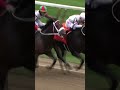 HORSE BITES RIVAL MID-RACE! 😬 | WATCH AS FIRENZE FIRE CLASHES WITH YAUPON | 🎥 NYRA