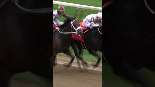HORSE BITES RIVAL MID-RACE! 😬 | WATCH AS FIRENZE FIRE CLASHES WITH YAUPON | 🎥 NYRA