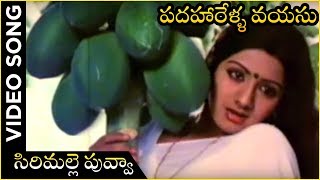Sirimalle Puvva Video Song | Padaharella Vayasu Movie | Sridevi | Chandra Mohan | K. Chakravarthi