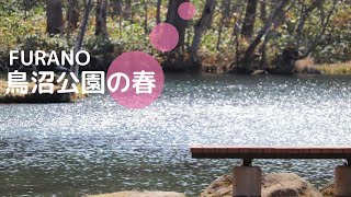 【富良野観光物語】2020.春.vol.198北海道・富良野市・鳥沼公園の春