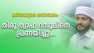 തിരു ത്വാഹ റസൂലിനെ പ്രണയിച്ചു | മദീന വിതുമ്പിയ നാൾ | madh song