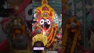 ବଡ଼ ଜଗନ୍ନାଥ ମନ୍ଦିରର ସନ୍ଧ୍ୟା ଆରତୀ #odia #arati #jayjagannath