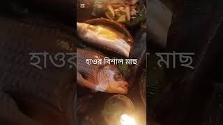 #2ম্পা হাওড়ের মাছ বিশাল বড় বড় আপনি অবাক হয়ে যাবেন হাওরের মাছ এত বড় হয় কিভাবে