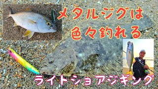 ヒラメ\u0026青物～！ライトショアジギングで爆‼️