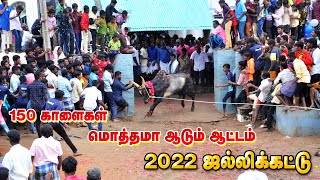 தமிழர் பாரம்பரிய கருங்குளம் 2022 Jallikattu | Manapparai | Trichy | Tamil |Karungulam Jallikattu