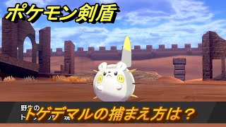 ポケモン剣盾　トゲデマルの出現場所は？オススメの場所は？天気は？ポケモン図鑑コンプへの道！　最新版【ポケモンソード・シールド】