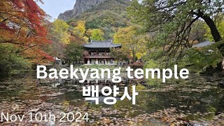 #내장산 #백양사 #단풍 #Baekyang Temple