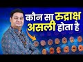 Rudraksha | How to Find A real Rudraksha |  Vyomessh Pathak