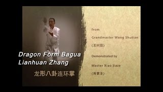 Dragon Form Bagua Lianhuan Zhang