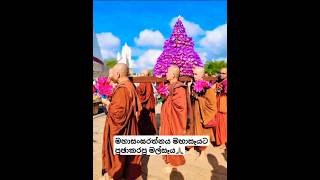 සාදු කියලා මෙි පින් අනුමෝදන්  වෙන්න 🙏 #buddha #buddhisum #buddhainbuddhism #viralvideos #buddism