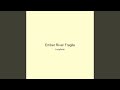 Ember River Fragile