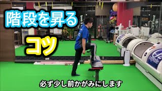 【筋トレ】階段を使ってお尻周りを鍛える方法