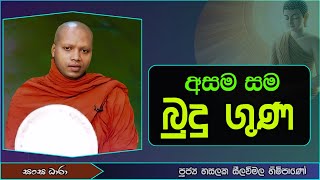 අසම සම බුදු ගුණ (Ven.Hasalaka seelavimala thero) Sangha Dhara - සංඝ ධාරා