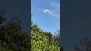 PARAGLIDING CABARITA AUSTRALIA #nature