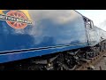 60007 'Sir Nigel Gresley', Nene Valley Railway, 15/3/2023.