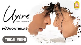 Uyire | Poongatrilae  - Lyric Video | Shah Rukh Khan | Manisha Koirala | AR Rahman | Ayngaran