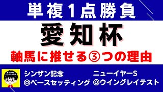 #1252【単複１点勝負 愛知杯 2023】狙いたい３つの理由 にしちゃんねる 馬Tube