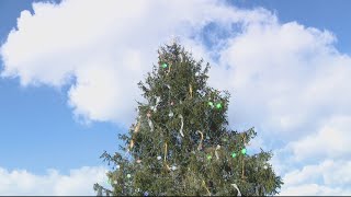 WATCH: National Christmas Tree lighting 2024