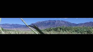 Forester Hay Swathing first cut of 2020