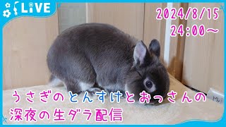 【雑談・うさぎ】うさぎのとんすけとおっさんの深夜の生ダラ配信　2024/8/15