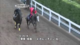 カレンチャン 追い切り スプリンターズS 2012.09.30 栗東･安田