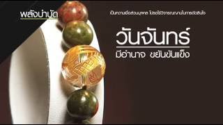 Cherstone Unakite สร้อยข้อมือหินยูนาไคท์ by cherstone