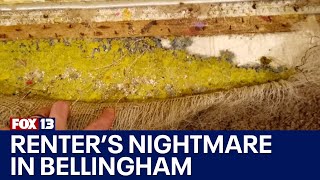 Bellingham renters plead for help over flooding, mold problems | FOX 13 Seattle