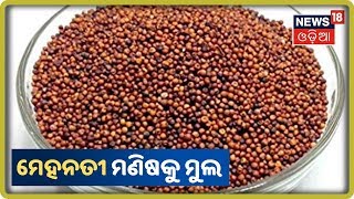 Malkanigir: ସ୍ବାଭୀମାନ ଅଞ୍ଚଳରେ ଖୋଲିଲେ ମାଣ୍ଡିଆ ମଣ୍ଡି