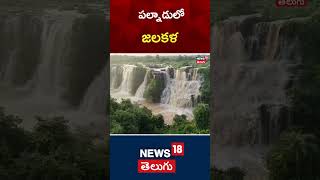 AP News | Heavy Rains in AP | waterfall rises with heavy rains| #shorts