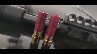 #4 Federal Heavy Field Load vs #4 Federal Premium Buckshot  (Home Defense)